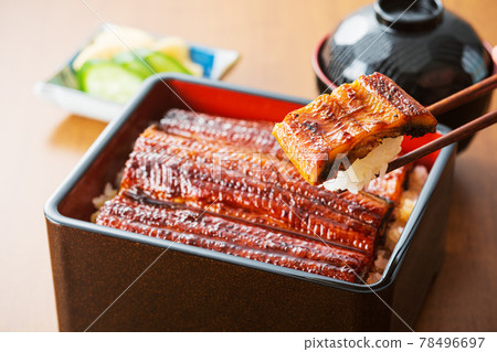 Eel Unagi Eel Eel Shige Eel 78496697