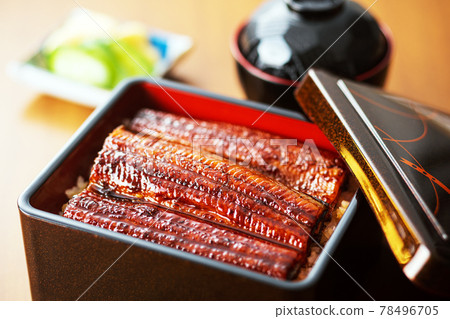 Eel Unagi Eel Eel Shige Eel 78496705