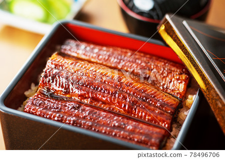 Eel Unagi Eel Eel Shige Eel Eel Unagi Eel Eel Shige Eel 78496706