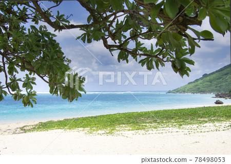 Monpanoki, sea and sky at Aragusuku Beach on Miyakojima 78498053