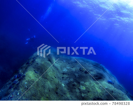 Undersea on a sunny day 78498328