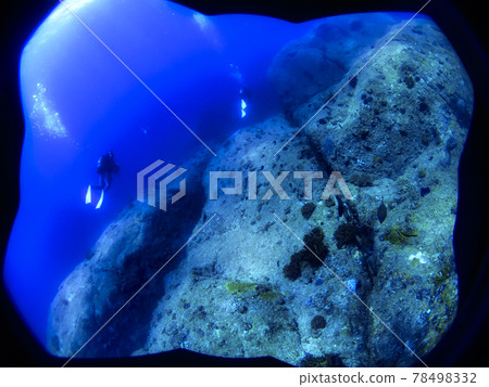 Undersea on a sunny day 78498332