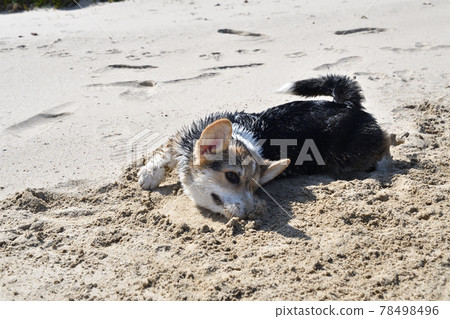 Sandy beach play 78498496