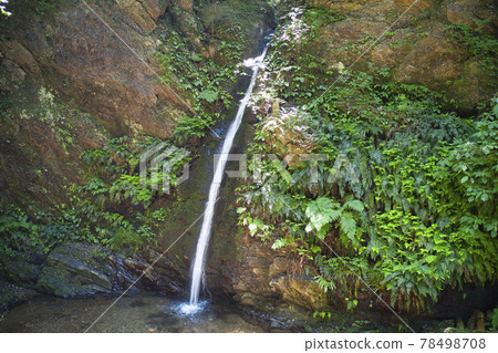 美麗的Shukuya no Taki Oku Musashi Nature Trail 埼玉縣諸山町（無人機鳥瞰圖） 78498708