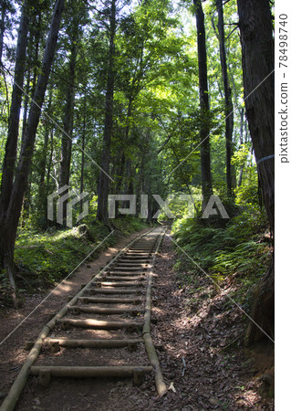 Endless stairs on the return slope, a mountain trail from Mt. Tenran to Mt. Taminenushi, Hanno City, Saitama Prefecture Endless stairs on the return slope, a mountain trail from Mt. Tenran to Mt. Taminenushi, Hanno City, Saitama Prefecture 78498740