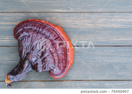 Close up of Ling zhi mushroom on wood table Close up of Ling zhi mushroom on wood table 78498907