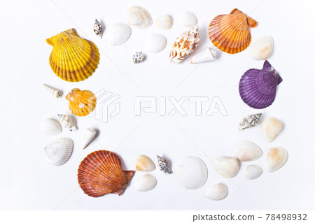 Shell frame 78498932