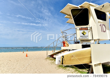 夏威夷的假期 夏威夷的假期 78499078