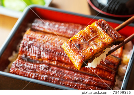 Eel Unagi Eel Eel Shige Eel Eel Unagi Eel Eel Shige Eel 78499556