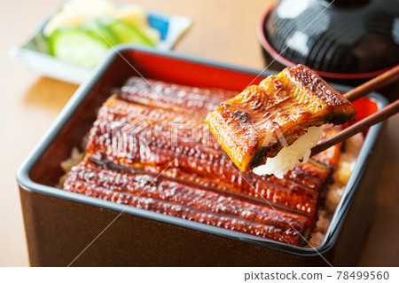 Eel Unagi Eel Eel Shige Eel 78499560