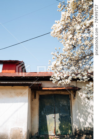 Pangyo old town at spring in Seocheon, Korea 78499717