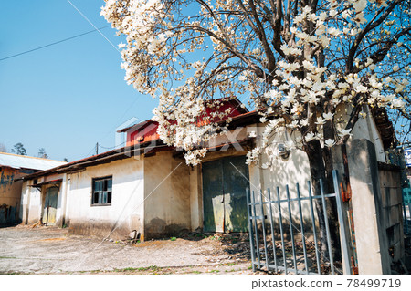 Pangyo old town at spring in Seocheon, Korea 78499719