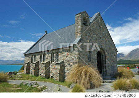 新西蘭好牧羊人教堂 新西蘭好牧羊人教堂 78499800
