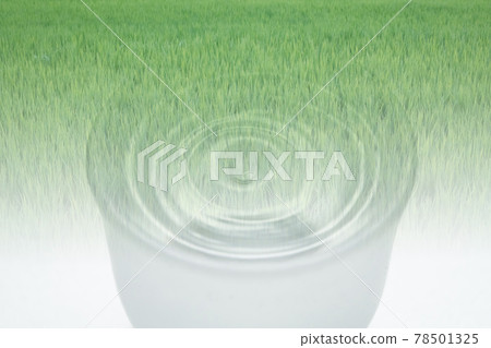 清酒稻田圖片 78501325