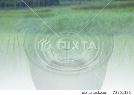 清酒稻田圖片 78501326