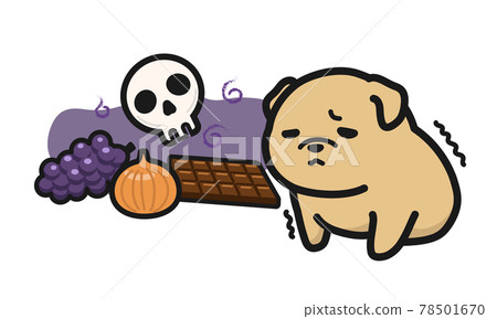 Foods that are dangerous for dogs to eat 78501670