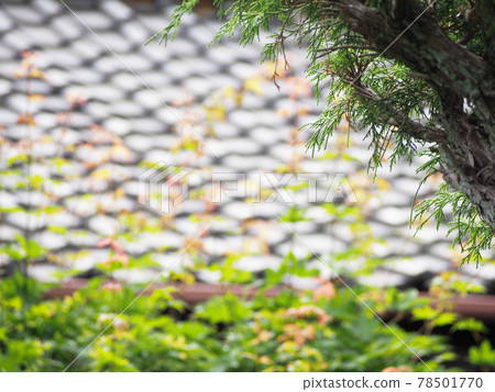 Roof tile of old private house 78501770