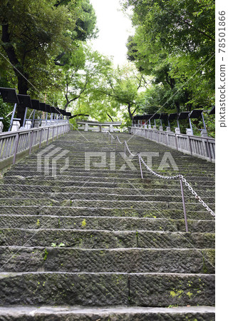 愛宕神社(男坂) 愛宕神社(男坂) 78501866