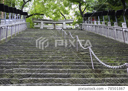 愛宕神社(男坂) 愛宕神社(男坂) 78501867