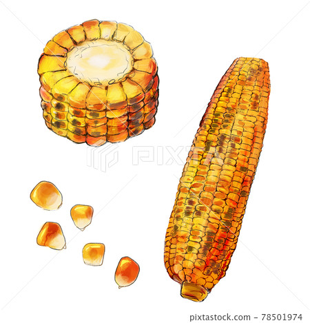 Grilled corn set Grilled corn set 78501974