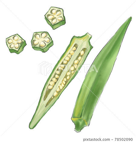 Okra set 78502090