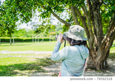 Woman taking landscape 78502528