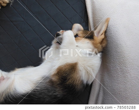 Very cute Very cute 78503288