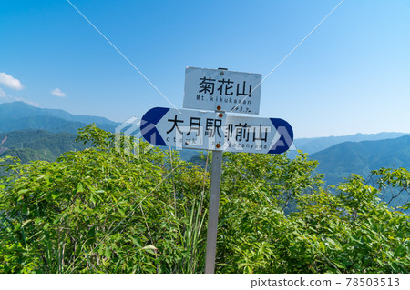 菊花山頂（山梨縣大月市） 78503513
