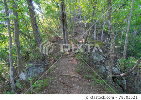 Rapid climb of Mt. Kikuhana (Otsuki City, Yamanashi Prefecture) 78503521