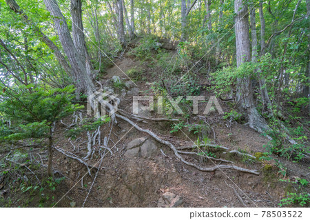 Rapid climb of Mt. Kikuhana (Otsuki City, Yamanashi Prefecture) 78503522