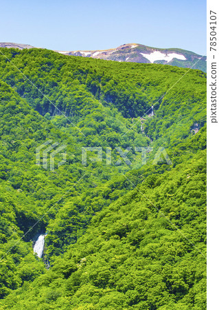 Zao immobile waterfall 78504107