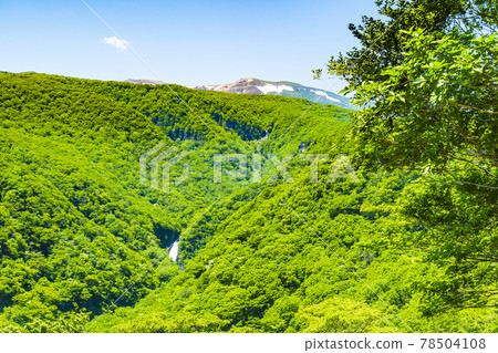 Zao immobile waterfall 78504108