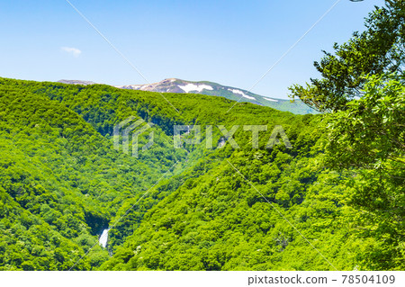 Zao immobile waterfall 78504109