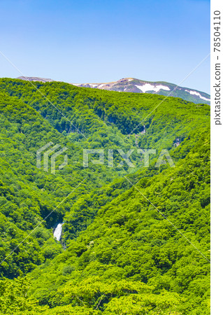 Zao immobile waterfall 78504110