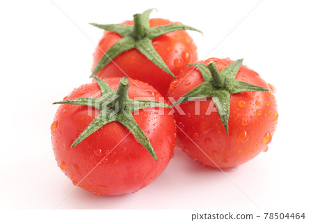 Midi tomato Midi tomato 78504464