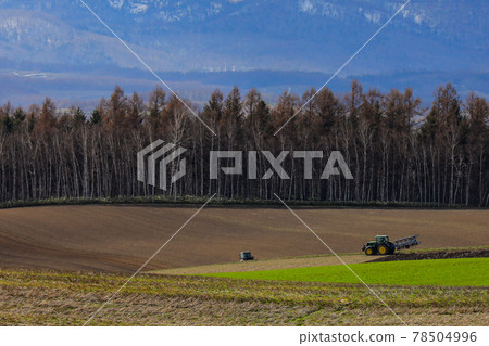 [Biei-cho, Hokkaido] Tractor working in the field May 78504996