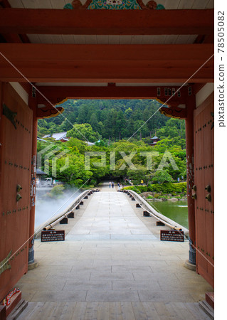 Konaoji Mino 78505082