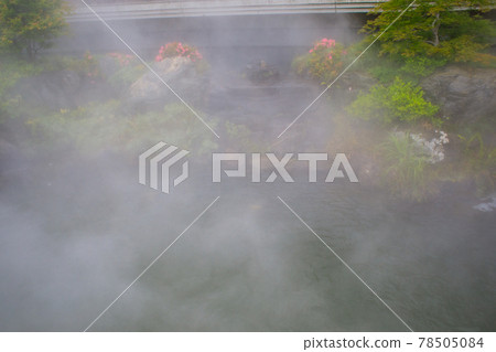 Konaoji Mino 78505084