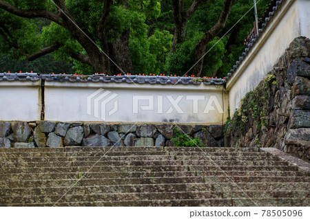 Konaoji Mino 78505096