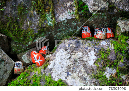 Konaoji Mino 78505098