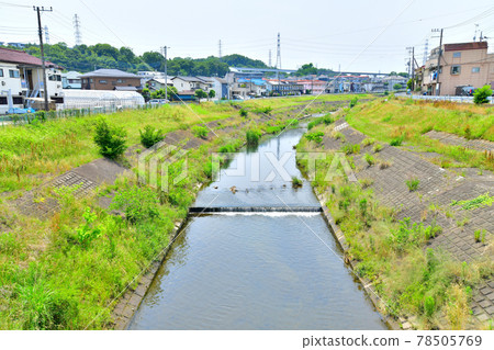 從橫倉橋/大栗川上游看（東京都八王子市） [2021.6] 78505769