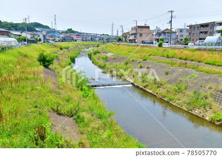 從橫倉橋/大栗川上游看（東京都八王子市） [2021.6] 78505770