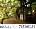 Abandoned ropeway (full rear view) 78506184