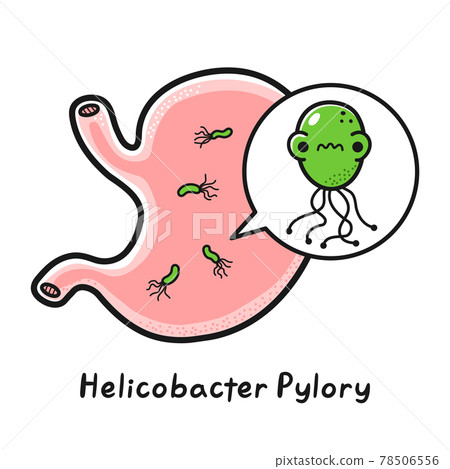 Human stomach organ with helicobacter pylori bacteria. Vector hand drawn cartoon kawaii character illustration. Isolated on white background. Sick stomach with helicobacter pylori bacteria Human stomach organ with helicobacter pylori bacteria. Vector hand drawn cartoon kawaii character illustration. Isolated on white background. Sick stomach with helicobacter pylori bacteria 78506556