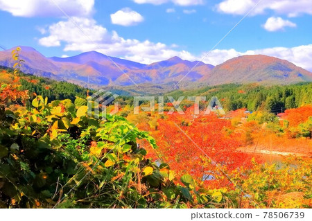 Autumn leaves around Nanatsumori 78506739