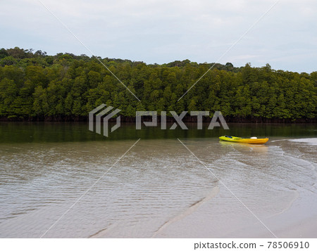 Kayak boat in mangrove canal on tropical island. Koh Kood - Thailand 78506910
