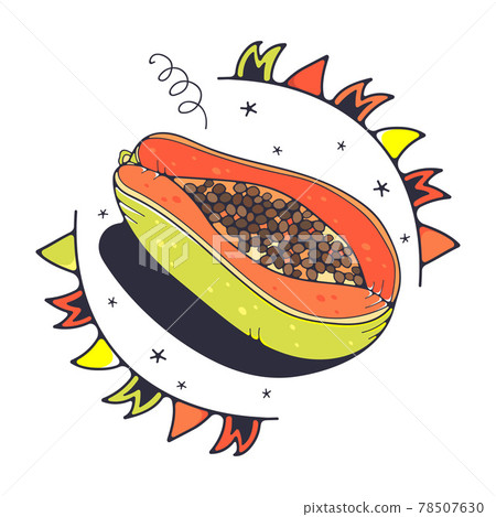 Cute illustration with papaya. Isolated on a white background. Vector doodle illustrations. 78507630