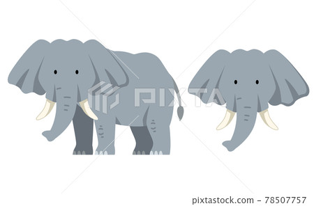 Big and small cartoon elephants. Vector clip art illustration with