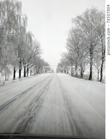 Winter road running between the frozen trees. Winter road running between the frozen trees. 78507804