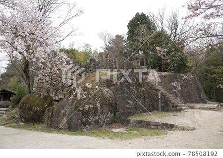 Naegi Castle ruins: Remains of the large arrow storehouse and cherry blossoms in Sannomaru Naegi Castle ruins: Remains of the large arrow storehouse and cherry blossoms in Sannomaru 78508192
